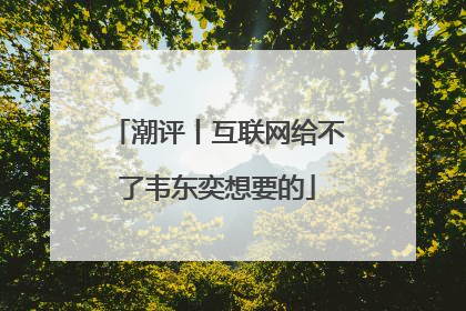 潮评丨互联网给不了韦东奕想要的