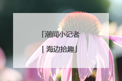 潮闻小记者｜海边拾趣