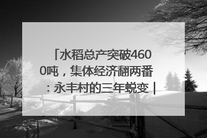 水稻总产突破4600吨，集体经济翻两番：永丰村的三年蜕变｜您牵挂的四川