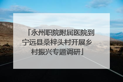 永州职院附属医院到宁远县桑梓头村开展乡村振兴专题调研