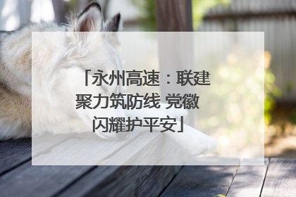 永州高速：联建聚力筑防线 党徽闪耀护平安