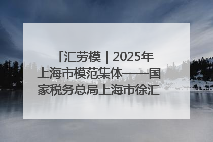 汇劳模｜2025年上海市模范集体——国家税务总局上海市徐汇区税务局第一税务所