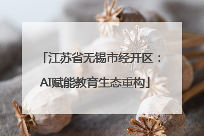 江苏省无锡市经开区：AI赋能教育生态重构