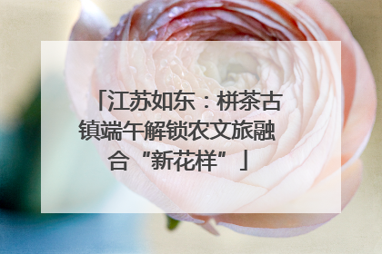 江苏如东：栟茶古镇端午解锁农文旅融合“新花样”