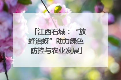 江西石城：“放蜂治蚜”助力绿色防控与农业发展