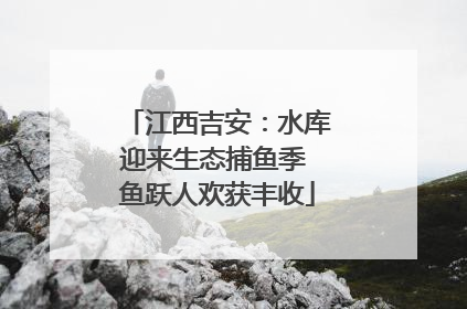 江西吉安：水库迎来生态捕鱼季 鱼跃人欢获丰收