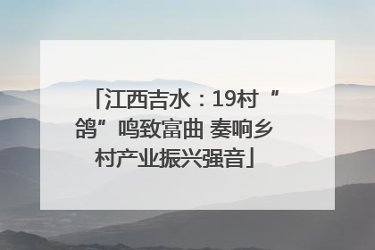 江西吉水：19村“鸽”鸣致富曲 奏响乡村产业振兴强音