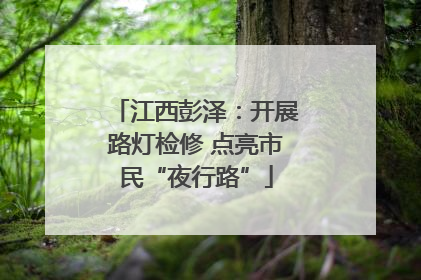 江西彭泽：开展路灯检修 点亮市民“夜行路”
