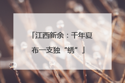 江西新余：千年夏布一支独“绣”