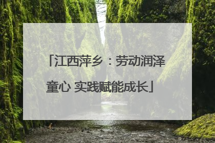 江西萍乡：劳动润泽童心 实践赋能成长