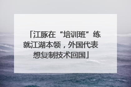 江豚在“培训班”练就江湖本领，外国代表想复制技术回国