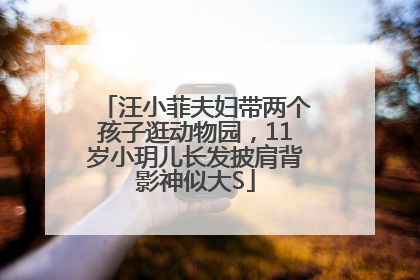 汪小菲夫妇带两个孩子逛动物园，11岁小玥儿长发披肩背影神似大S