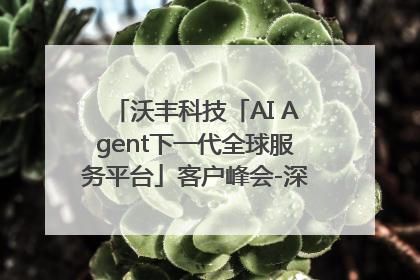 沃丰科技「AI Agent下一代全球服务平台」客户峰会-深圳站圆满落幕！
