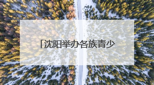 沈阳举办各族青少年“看沈阳、爱沈阳”高校行活动