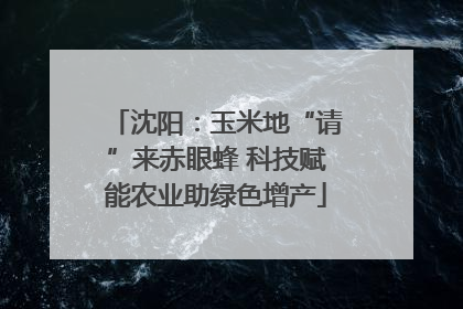沈阳：玉米地“请”来赤眼蜂 科技赋能农业助绿色增产