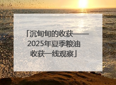 沉甸甸的收获——2025年夏季粮油收获一线观察