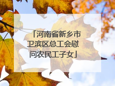 河南省新乡市卫滨区总工会慰问农民工子女