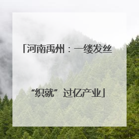 河南禹州：一缕发丝“织就”过亿产业