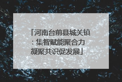 河南台前县城关镇：集智赋能聚合力 凝聚共识促发展