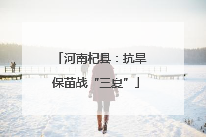 河南杞县：抗旱保苗战“三夏”