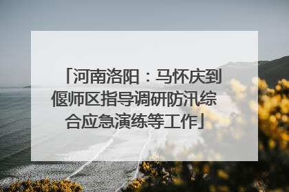 河南洛阳：马怀庆到偃师区指导调研防汛综合应急演练等工作