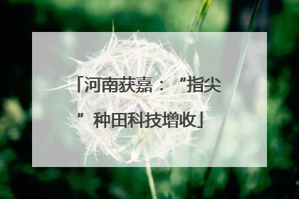 河南获嘉：“指尖”种田科技增收
