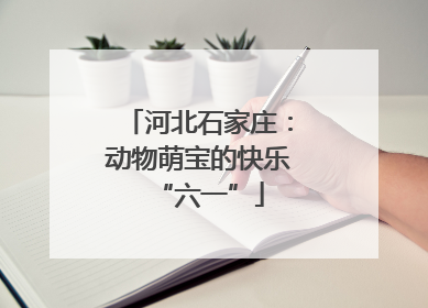 河北石家庄：动物萌宝的快乐“六一”