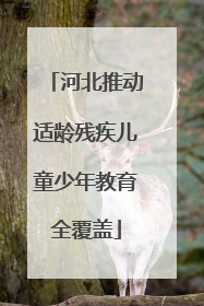 河北推动适龄残疾儿童少年教育全覆盖