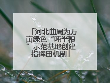 河北曲周为万亩绿色“吨半粮”示范基地创建指挥田机制