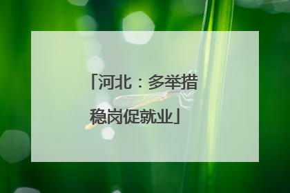 河北：多举措稳岗促就业