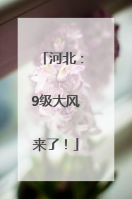 河北：9级大风来了！