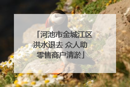 河池市金城江区洪水退去 众人助零售商户清淤