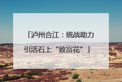 泸州合江：统战助力引活石上“致富花”