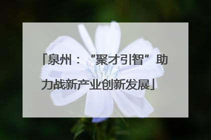 泉州：“聚才引智”助力战新产业创新发展