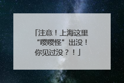 注意！上海这里“嘤嘤怪”出没！你见过没？！