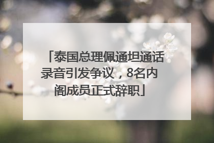 泰国总理佩通坦通话录音引发争议，8名内阁成员正式辞职