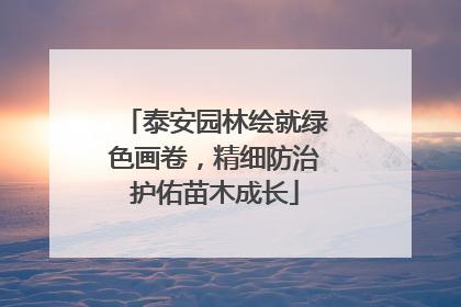泰安园林绘就绿色画卷，精细防治护佑苗木成长