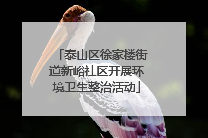 泰山区徐家楼街道新峪社区开展环境卫生整治活动
