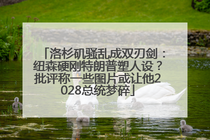 洛杉矶骚乱成双刃剑：纽森硬刚特朗普塑人设？批评称一些图片或让他2028总统梦碎