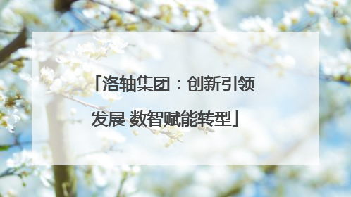 洛轴集团：创新引领发展 数智赋能转型