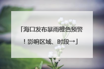 海口发布暴雨橙色预警！影响区域、时段→