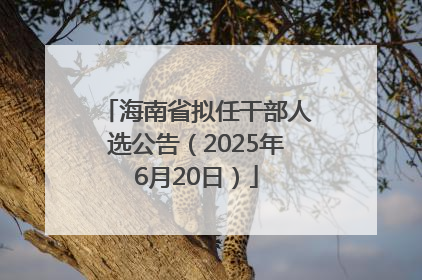 海南省拟任干部人选公告（2025年6月20日）