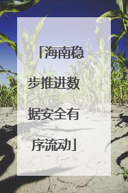 海南稳步推进数据安全有序流动