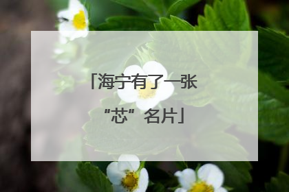 海宁有了一张“芯”名片
