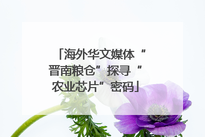 海外华文媒体“晋南粮仓”探寻“农业芯片”密码