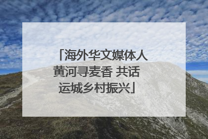 海外华文媒体人黄河寻麦香 共话运城乡村振兴