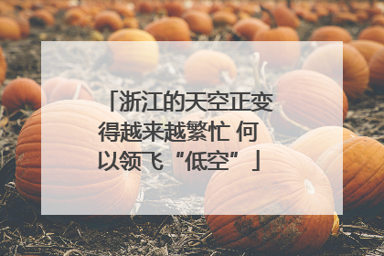 浙江的天空正变得越来越繁忙 何以领飞“低空”