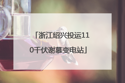 浙江绍兴投运110千伏谢慕变电站