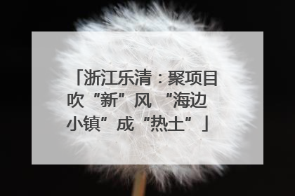 浙江乐清：聚项目吹“新”风 “海边小镇”成“热土”