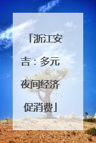 浙江安吉：多元夜间经济促消费